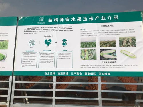 推廣有機肥改良土壤結構，云南國發(fā)助力師宗煙草綠色高質量發(fā)展