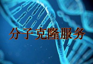技術服務行業資訊 創新驅動與市場趨勢